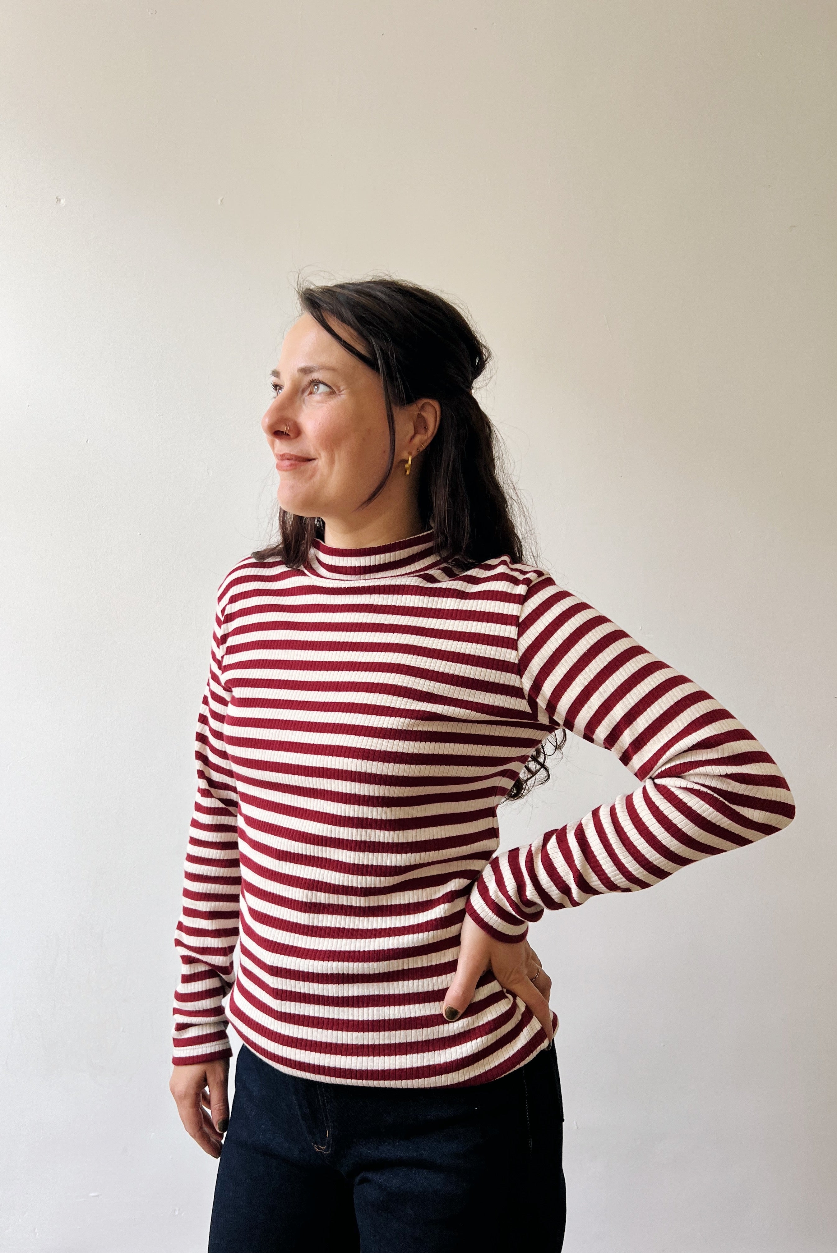 Turtleneck - Pomegranate Stripes Rib